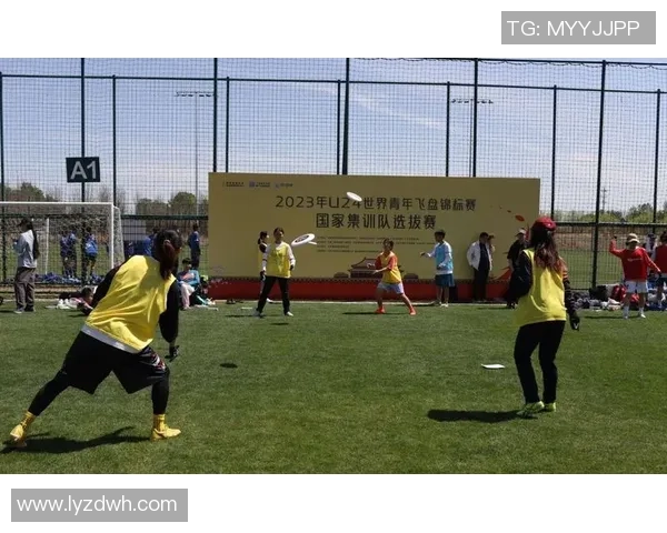 飞盘个人能力排行榜揭晓上海飞盘队荣登第八位展现实力与潜力